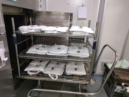 GMP Autoclave Data Logger Monitoraggio delle alte temperature e della pressione in acciaio inossidabile