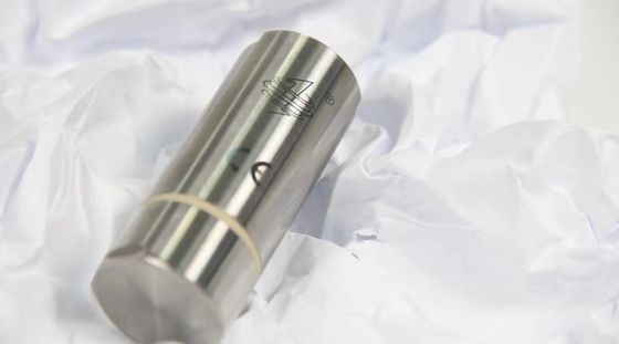 Interfaccia di comunicazione USB 350 gradi GMP Registratore di dati di temperatura wireless per autoclave